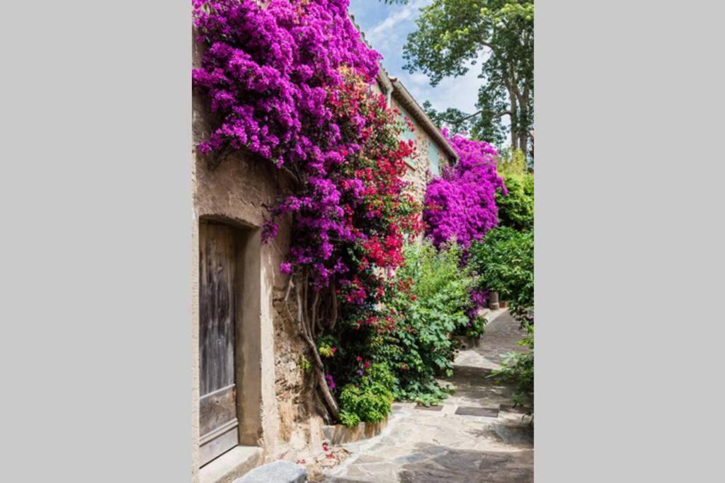 Coquet 2 Pieces Coeur Vieil Antibes Exterior foto
